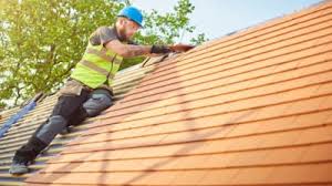 Steel Roofing in Hainesville, IL