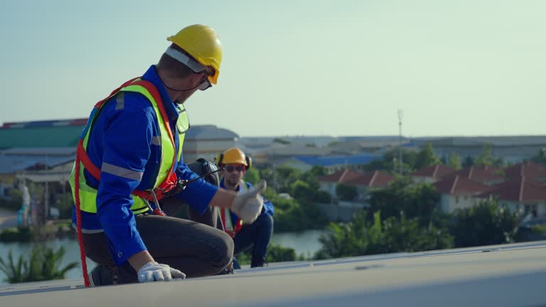 Best Chimney Flashing Repair  in Hainesvle, IL